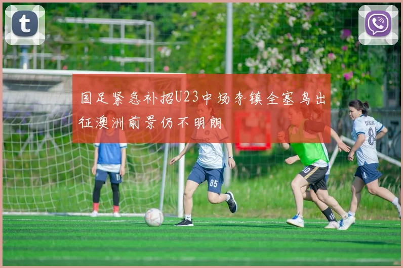 国足紧急补招U23中场李镇全塞鸟出征澳洲前景仍不明朗