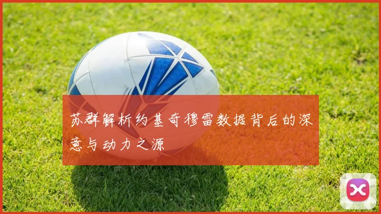 苏群解析约基奇穆雷数据背后的深意与动力之源